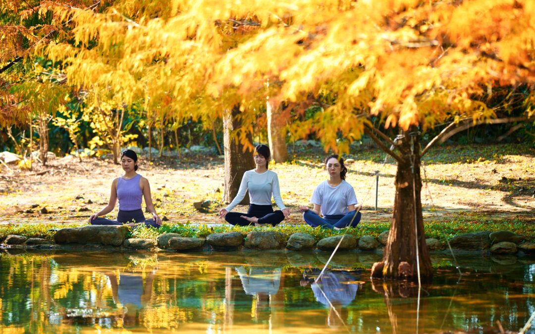 2024首發台灣國際瑜伽療癒節，響應世界健康日邀您一同深度探索七感療癒