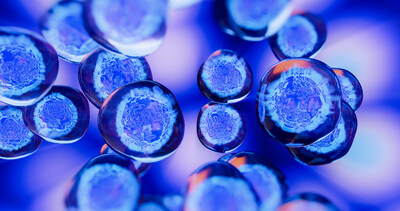 New CAS BioFinder Discovery Platform empowers drug discovery scientists to reveal insights, drive innovation, and save time New CAS BioFinder Discovery Platform empowers drug discovery scientists to reveal insights, drive innovation, and save time